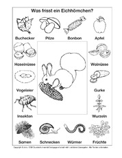 AB-Eichhörnchen-Nahrung-2-SW.pdf